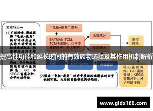 提高性功能和延长时间的有效药物选择及其作用机制解析